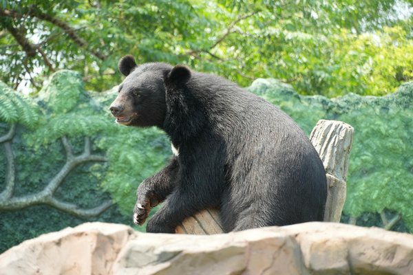 Panneaux solaires photovoltaïques : 5 astuces pour maximiser vos gains