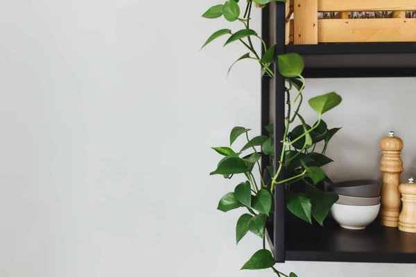 Rayonnage métallique professionnel : structurer votre espace de travail